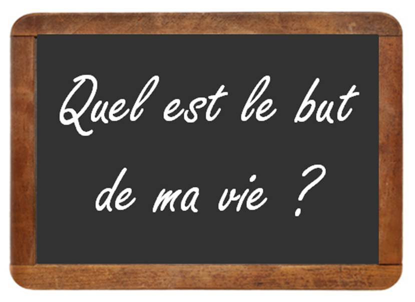 but de la vie