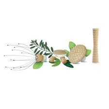 coffret massage de la tête aux pieds